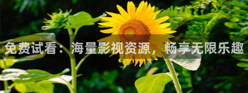 九七影院电视剧大全在线观看免费