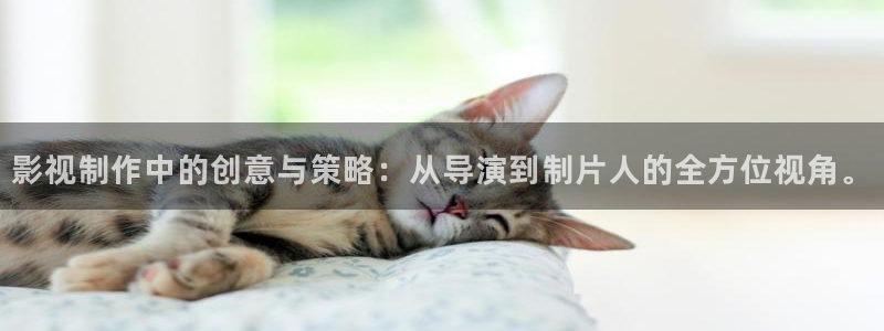 九七手机电影网
